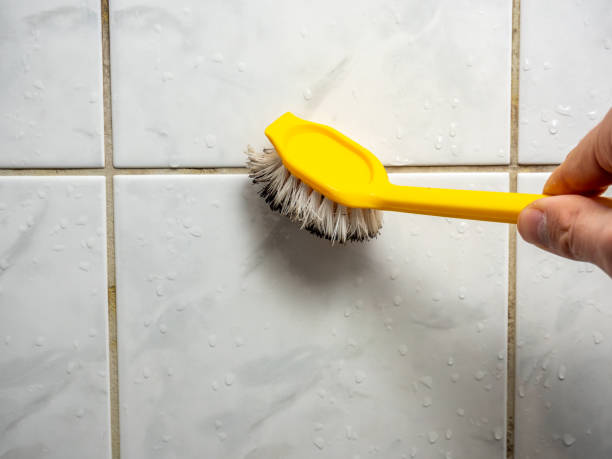 Best Water Damage Restoration  in Marion, KS