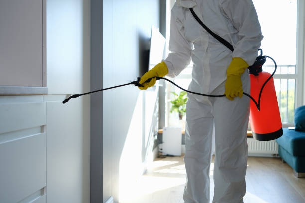 Best Mold Testing  in Marion, KS