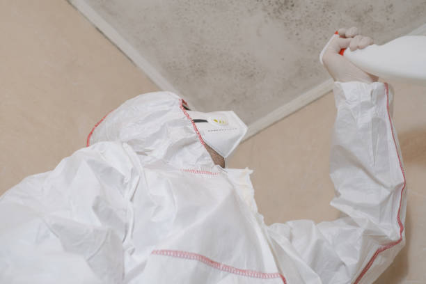 Best Emergency Mold Removal  in Marion, KS