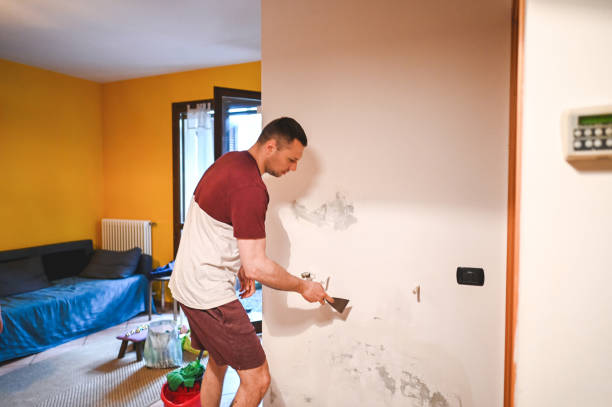 Best Mold Cleaning Services  in Marion, KS